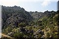 P3311150.JPG
