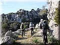 20140407_07.jpg