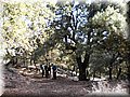 20140407_22.jpg