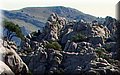 P4070119.JPG