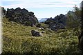 P4070125.JPG
