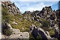 P4070129.JPG