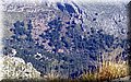 P4140440.JPG