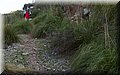 P4140445.JPG