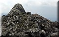 P4140520.JPG