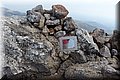 P4140537.JPG