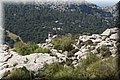 P4140548.JPG