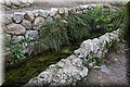 P4140553.JPG