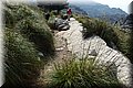 P4140563.JPG
