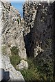 P5051251.JPG