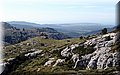 P5051252.JPG
