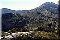 P5051254.JPG