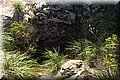P5051266.JPG