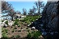 P5051270.JPG