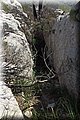 P5051282.JPG