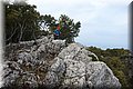 P5081324.JPG