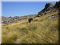 20140512_24_Small.jpg