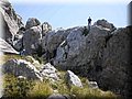 20140512_34_Small.jpg