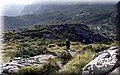 P5121291.JPG