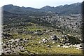 P5121310.JPG
