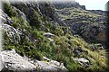 P5121320.JPG