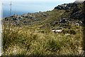 P5121334.JPG