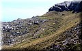 P5121337.JPG