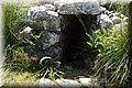 P5121340.JPG
