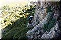 P5151400.JPG