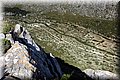 P5151449.JPG