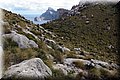 P5151490.JPG