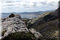 P5151507.JPG