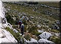 P5151511.JPG