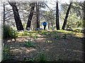20140519_110830.jpg