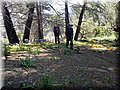 20140519_110905.jpg