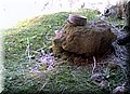 20140519_111512.jpg