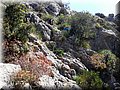 20140519_114018.jpg