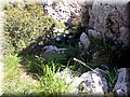 20140519_115228.jpg