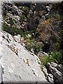 20140519_115419.jpg