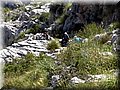 20140519_120812.jpg