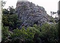 P1200037.JPG
