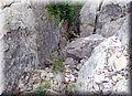 P1200051.JPG