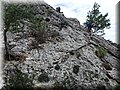 P1200061.JPG