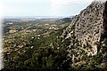 P5221659.JPG
