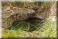 P5221740.JPG