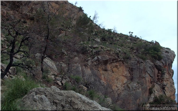 P5291751.JPG