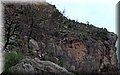 P5291751.JPG