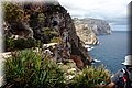 P5291782.JPG