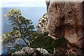 P5291801.JPG