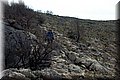 P6021860.JPG